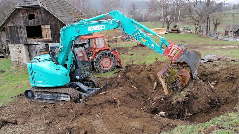 Wurzelstockentfernung